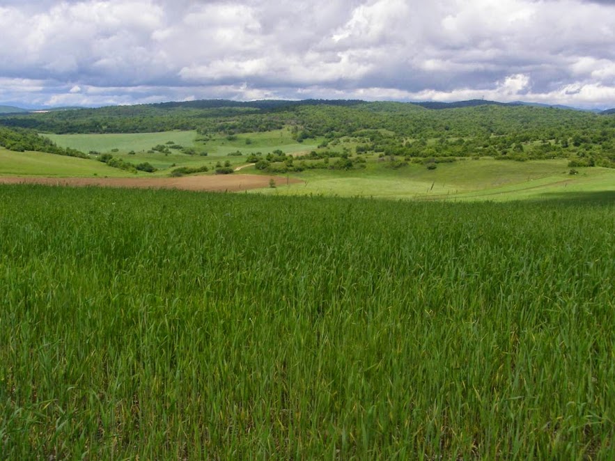 Silická planina