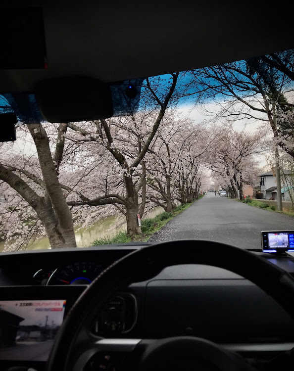 タントカスタムの奈良県・タントカスタム・桜とコラボ・春めき桜・桜に関するカスタム事例の投稿画像3枚目