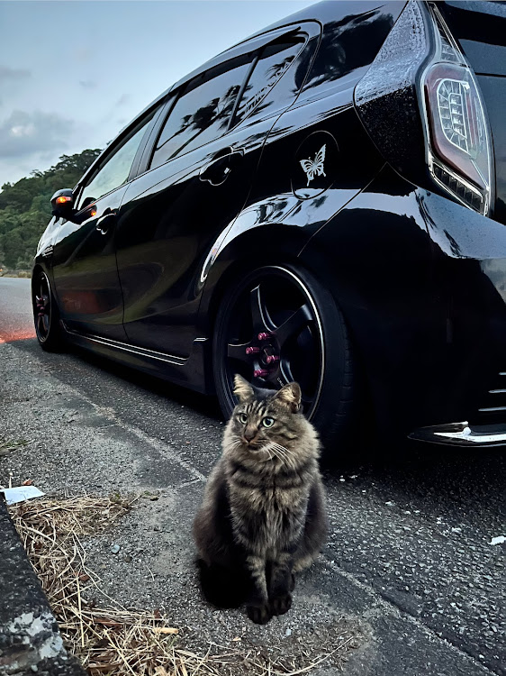 アクアの愛車の一番好きな角度・今週のお題・ドライブ・11月もよろしくお願いしますに関するカスタム事例の投稿画像4枚目