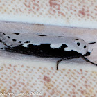 Bordered Ermel