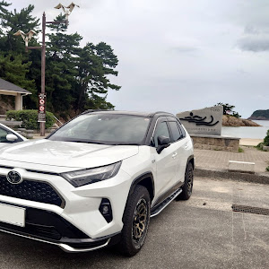 RAV4 AXAP54