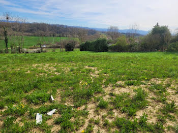 terrain à Rignieux-le-Franc (01)