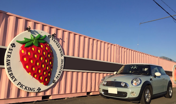 ミニクーパーのBMWミニ・ミニクーパーR56・いちご・ウォールアート・MINI乗りさんと繋がりたいに関するカスタム事例の投稿画像1枚目