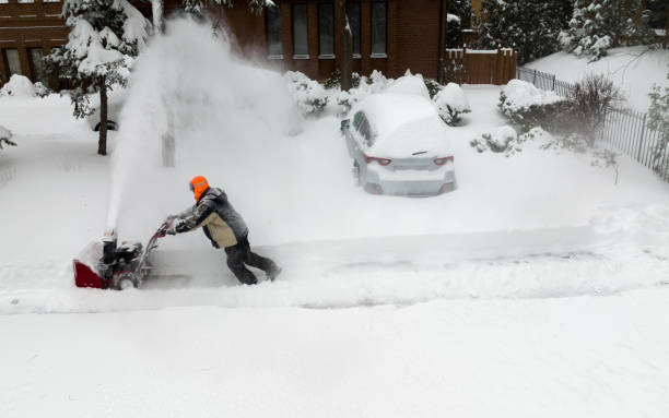 How often should I clean my snow blower's carburetor?