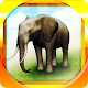 REAL ANIMALS HD (Full) Download on Windows