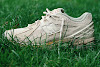 auralee × new balance 1906r beige