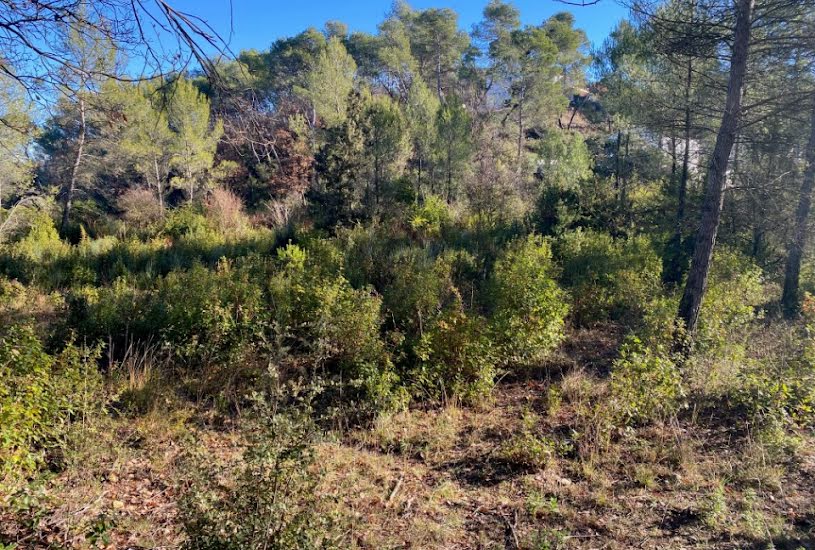  Vente Terrain à bâtir - 459m² à Brignoles (83170) 