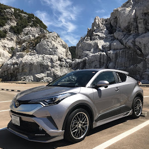 C-HR NGX50