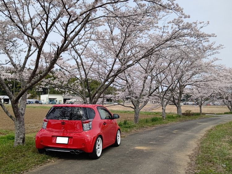 の投稿画像3枚目