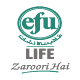 EFU LIFE Agent App. Download on Windows