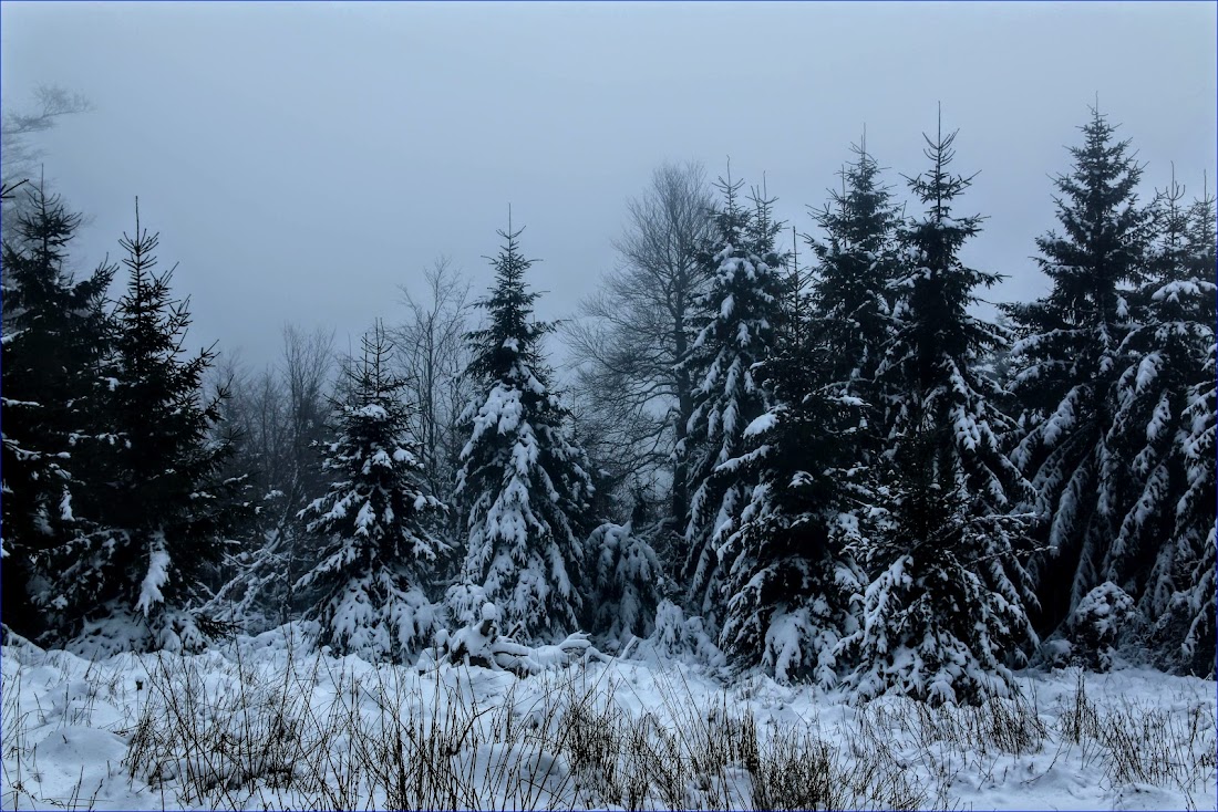 Тюрингенский лес (Thüringer Wald) и Айзенах в январе 2022.