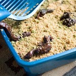 Kitty Litter Cake was pinched from <a href="http://allrecipes.com/Recipe/Kitty-Litter-Cake/Detail.aspx" target="_blank">allrecipes.com.</a>