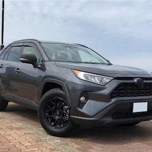 RAV4 MXAA54