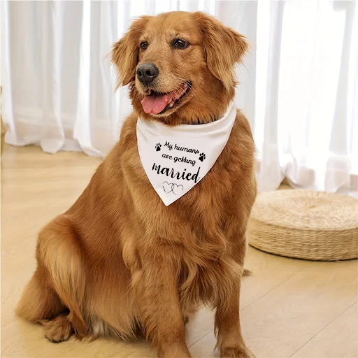 2pcs Engagement Gift, My Humans are Getting Married Dog Bandana, Wedding Photo Prop, Pet Scarf, Dog Engagement Announc
