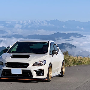 WRX S4 VAG