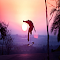 Item logo image for Skateboard Sunset Insider New Tab