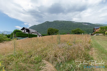 terrain à Cruet (73)