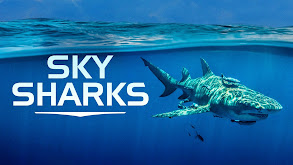 Sky Sharks thumbnail