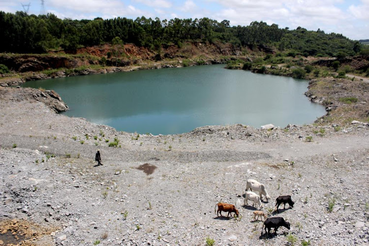 The Nseleni quarry dam, which is used as a drinking hole for animals, has been claimed as a swimming pool by some locals but authorities say it is dangerous.