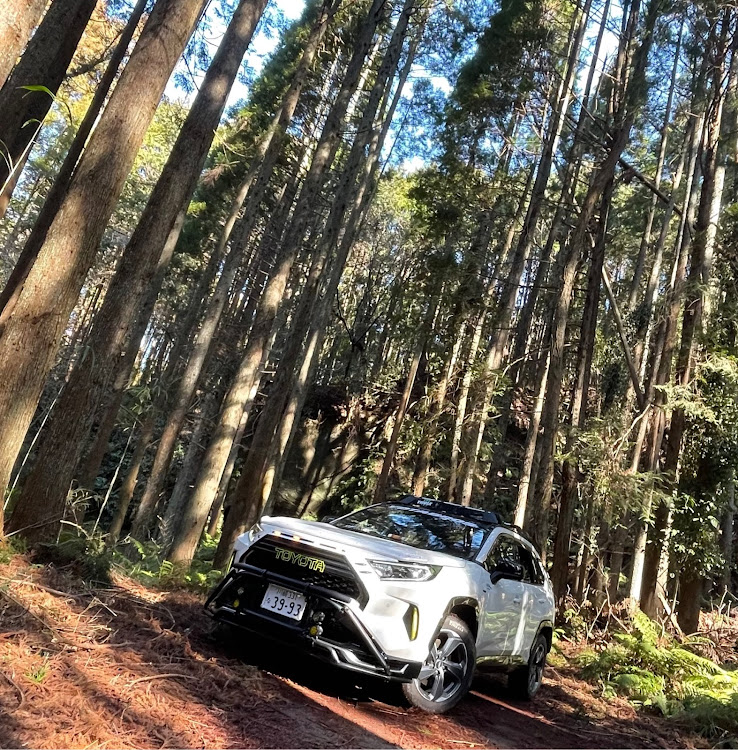 RAV4の目指せPickUpCars・RAV4PHV・新型RAV4・林道月崎1号線・大型犬とカーライフに関するカスタム事例の投稿画像2枚目
