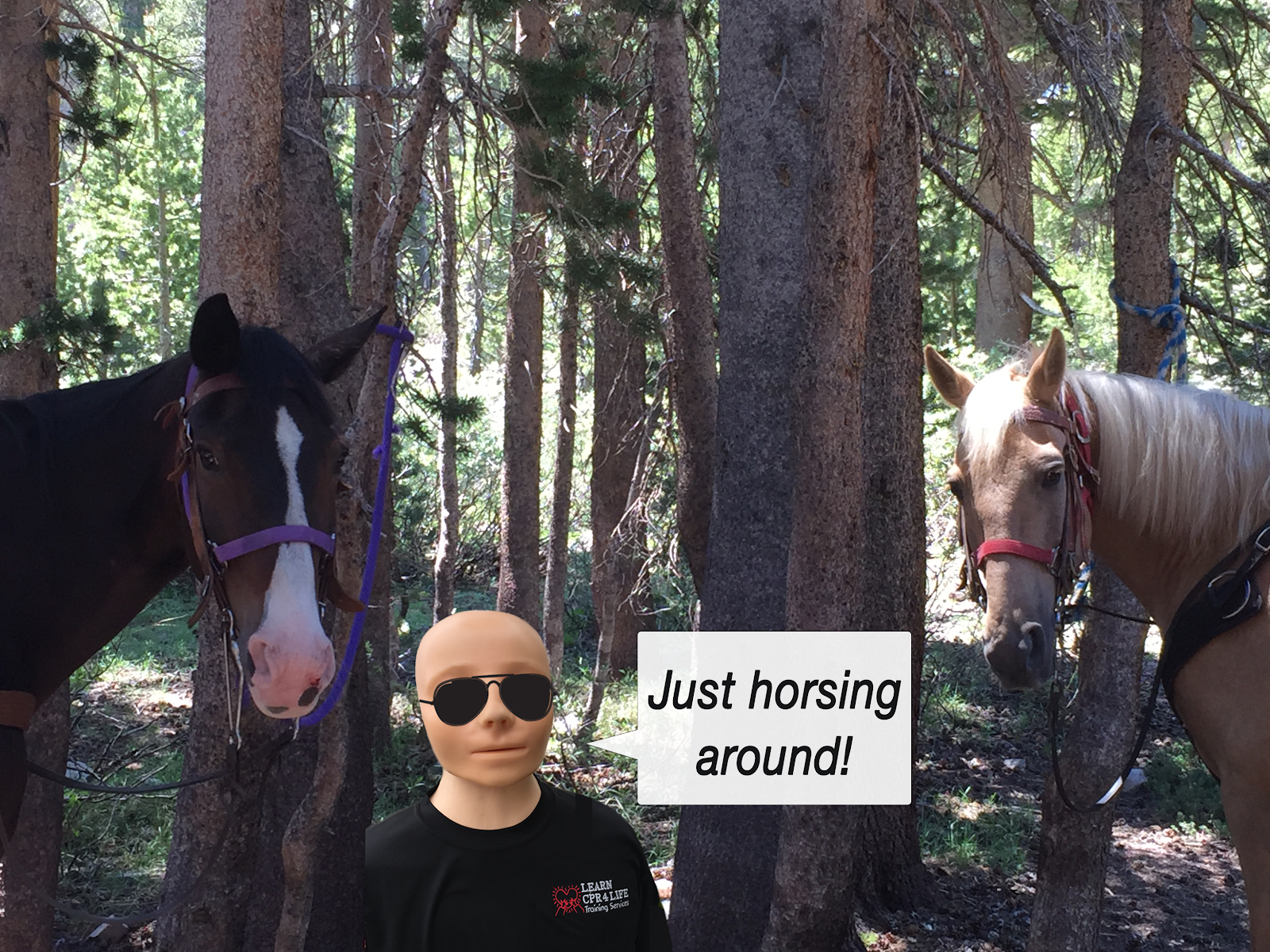 just horsing around.png