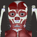 Anatomy 360- Atlas