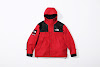 supreme the north face leather mountain parka red