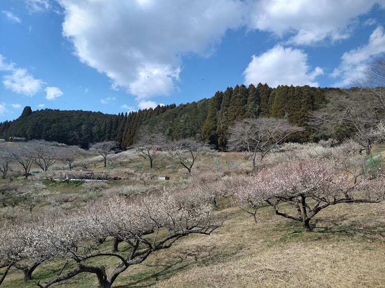 の投稿画像3枚目