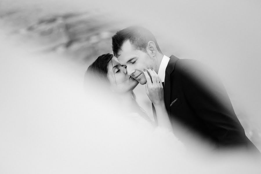 Fotografo di matrimoni Tomás Navarro (tomasnavarro). Foto del 26 novembre 2016