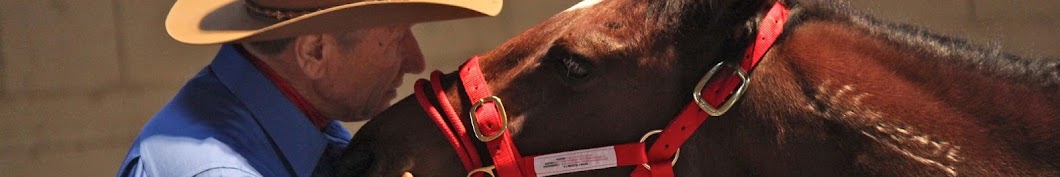 Monty Roberts Banner