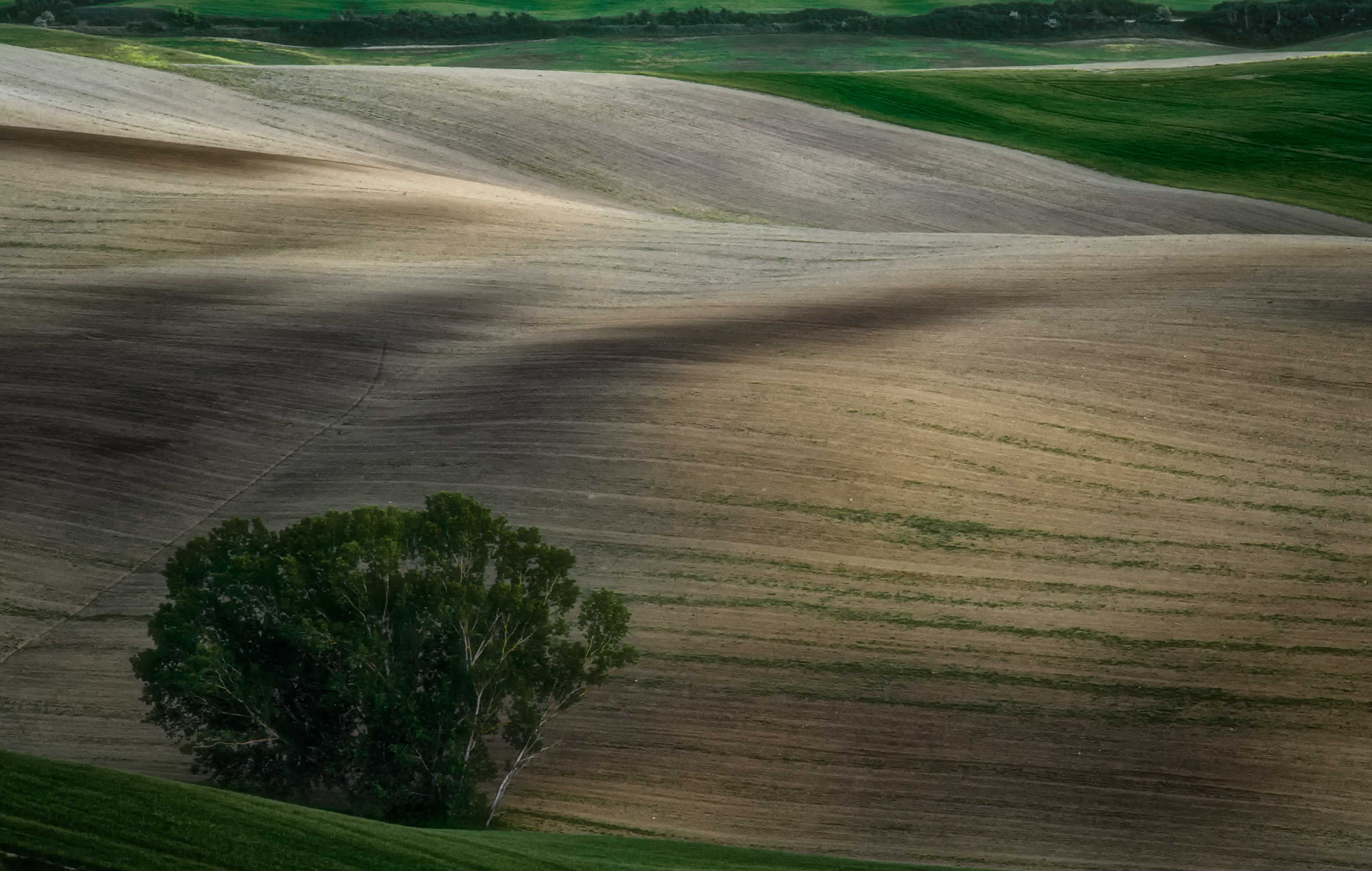 Sfumature in Val D'orcia di Luca160