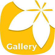 Gallery  Icon