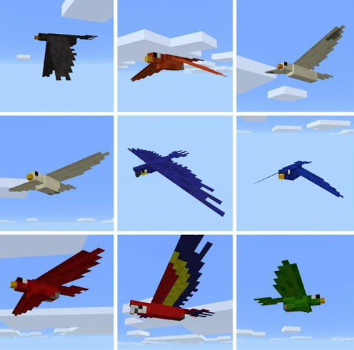 Bird Mod PE