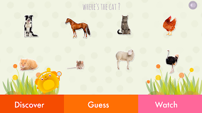 Kid Safe Flashcards - Animals: Learn Fir
