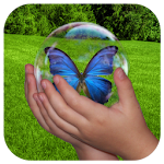 Cover Image of डाउनलोड Bubble Nature Kids Game Free 2.0 APK