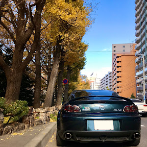 RX-8