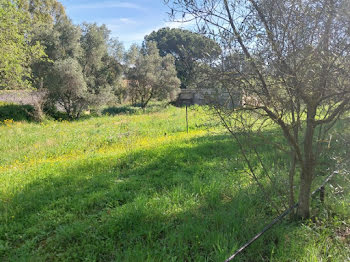 maison neuve à Roquebrune-sur-Argens (83)