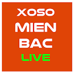 Cover Image of Herunterladen Soi cầu lô miền bắc - bạch thủ đề xổ số - kqxsmb 1.0 APK