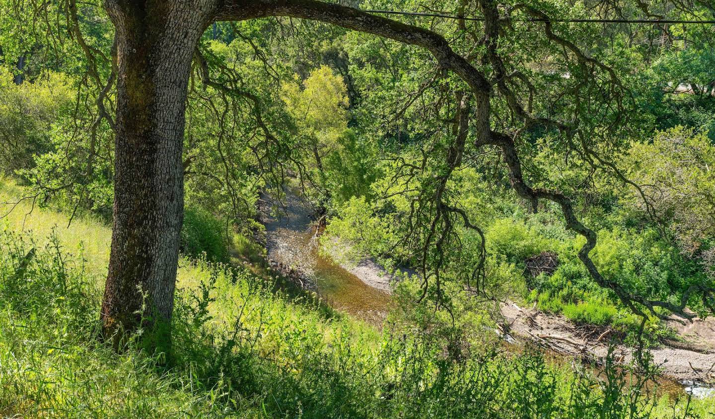 Land Sutter Creek