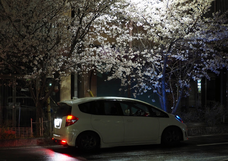 フィットのフィットRS・桜・撮影練習中に関するカスタム事例の投稿画像1枚目