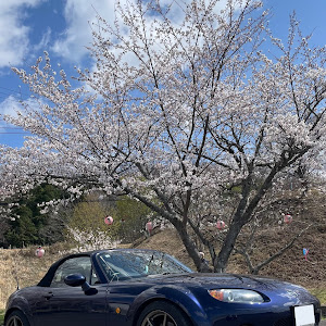 ロードスター NCEC