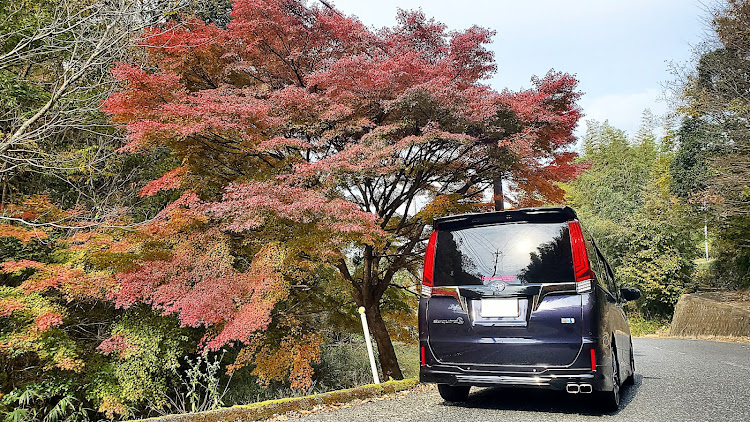 エスクァイアの紅葉ドライブ・朝からバタバタ・スマホ直った🤭・自力洗車✨・スパシャンプロ4ビヨンドに関するカスタム事例の投稿画像2枚目