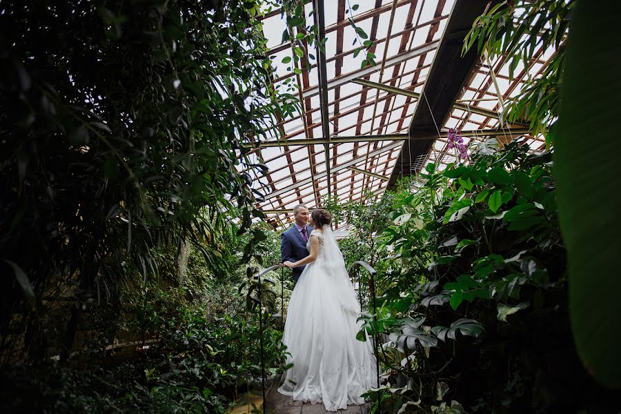 Fotografo di matrimoni Aleksey Lysov (alekss4907). Foto del 20 giugno 2017