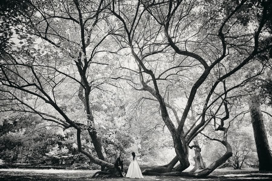 Photographe de mariage Pavel Baymakov (baymakov). Photo du 14 décembre 2017