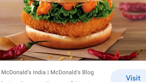 Paneer Hot Spicy Burger