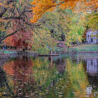 Parco di Monza in autunno. di 