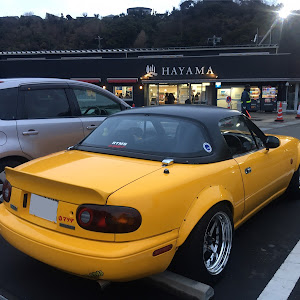 ロードスター NA8C