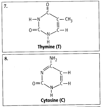 Solution Image