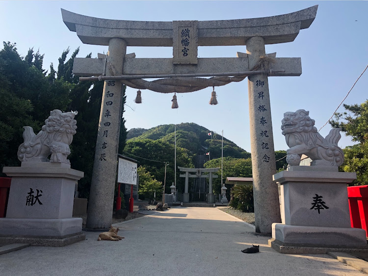 アルトワークスの福岡・久しぶりに投稿・アサギマダラ🦋・子猫に癒される😊・高いようで低くないノーマル車高のセカンドカーに関するカスタム事例の投稿画像11枚目