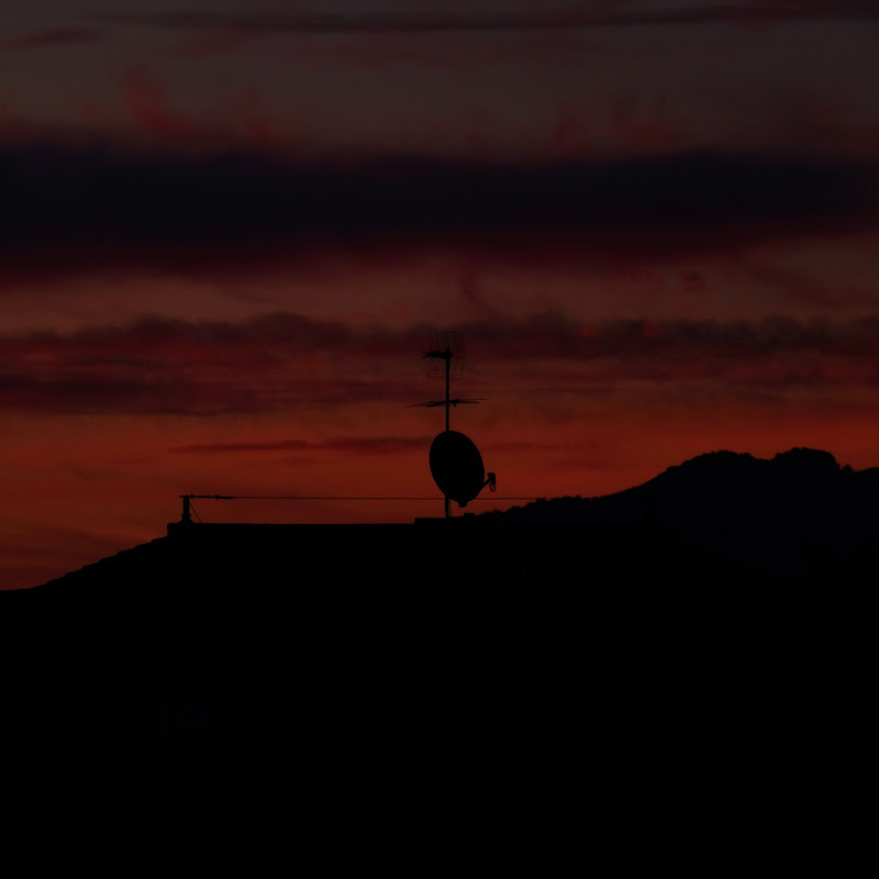 Alone on the roof di Merlograziano